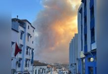 حريق كبير يلتهم مساحات شاسعة من الغابات في شفشاون حريق كبير يلتهم مساحات شاسعة من الغابات في شفشاون