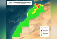 خرائط تنبؤ تحدد المناطق المعرضة لحرائق الغابات خرائط تنبؤ تحدد المناطق المعرضة لحرائق الغابات
