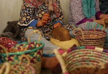 زيت الأركان.. جوهر حضارة مغربية متوارثة عبر القرون زيت الأركان.. جوهر حضارة مغربية متوارثة عبر القرون