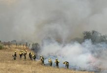 اعتقال مغربي في إسبانيا بتهمة إضرام حريق أتى على 31 هكتارا اعتقال مغربي في إسبانيا بتهمة إضرام حريق أتى على 31 هكتارا