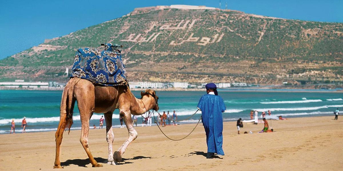 قطاع السياحة بالمغرب يواصل نموه خلال الفصل الأول من 2025 قطاع السياحة بالمغرب يواصل نموه خلال الفصل الأول من 2025