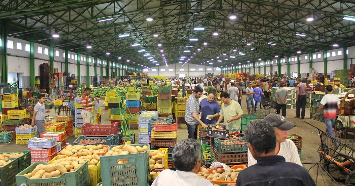 مجلس المنافسة يحذر من اختلالات أسواق الجملة مجلس المنافسة يحذر من اختلالات أسواق الجملة