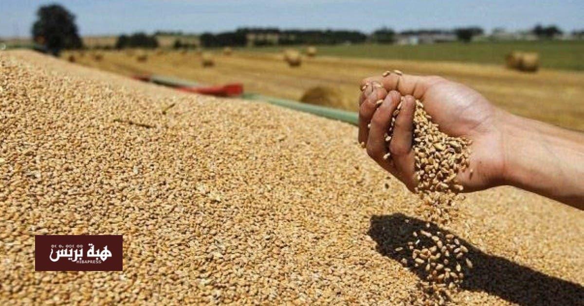 انخفاض أسعار الحبوب والقطاني بفضل تحسن الموسم الفلاحي انخفاض أسعار الحبوب والقطاني بفضل تحسن الموسم الفلاحي