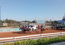 ختام جائزة أفريقيا الكبرى في الدار البيضاء بثمانية سباقات ختام جائزة أفريقيا الكبرى في الدار البيضاء بثمانية سباقات