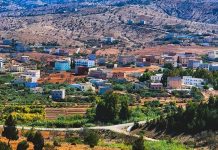 ماراثون رمزي من بروكسل يستحضر تضحيات المهاجرين ماراثون رمزي من بروكسل يستحضر تضحيات المهاجرين