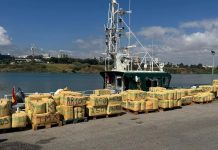 الحرس المدني يعترض زوارق حشيش من المغرب بجبل طارق الحرس المدني يعترض زوارق حشيش من المغرب بجبل طارق