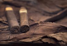 قصة وصول التبغ إلى المغرب وتحريمه من قبل رجال الدين قصة وصول التبغ إلى المغرب وتحريمه من قبل رجال الدين