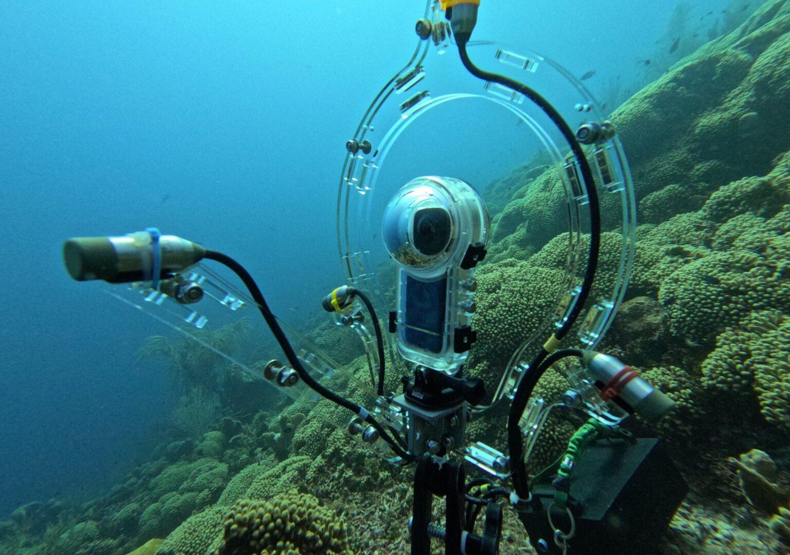 شاهد.. أداة مبتكرة تكشف هوية الأسماك عبر أصواتها شاهد.. أداة مبتكرة تكشف هوية الأسماك عبر أصواتها