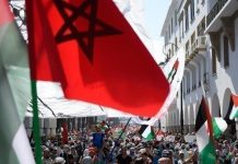 فعاليات في عدة مدن لدعم القضية الفلسطينية فعاليات في عدة مدن لدعم القضية الفلسطينية