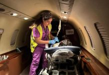 طائرة طبية تنقل سيدة حامل في وضع حرج من كلميم إلى مراكش طائرة طبية تنقل سيدة حامل في وضع حرج من كلميم إلى مراكش