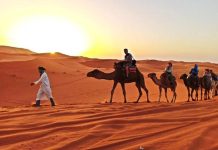 المغرب يستقبل 15 مليون سائح حتى نهاية شتنبر 2025 المغرب يستقبل 15 مليون سائح حتى نهاية شتنبر 2025