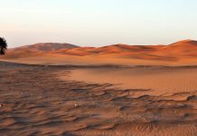 زيادة 75% في هطول الأمطار بالصحراء الكبرى بحلول 2100 زيادة 75% في هطول الأمطار بالصحراء الكبرى بحلول 2100