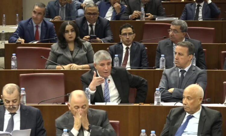 التويزي: التواصل الحكومي ضعيف والإنجازات غير كاملة التويزي: التواصل الحكومي ضعيف والإنجازات غير كاملة