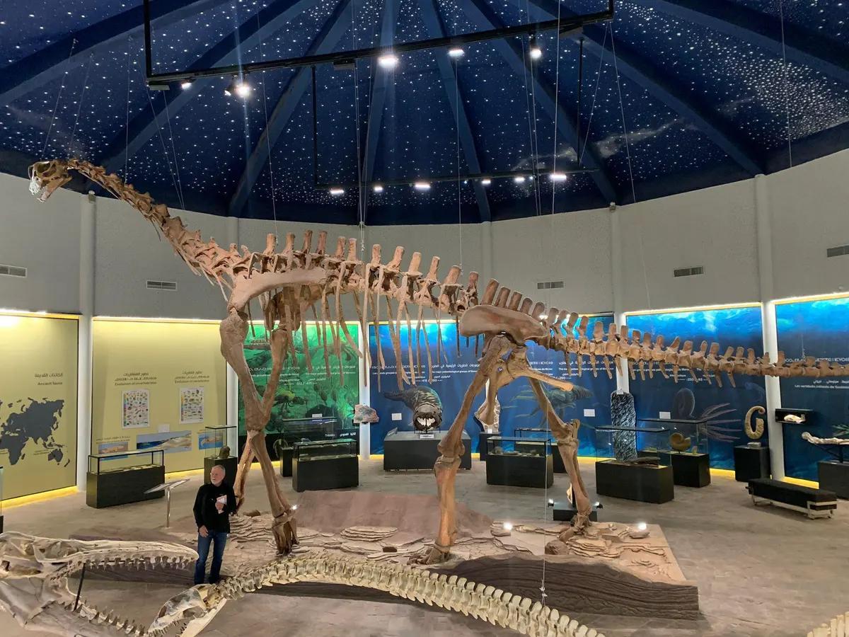 تراث الديناصورات في المغرب.. ثروة جيولوجية تبحث عن متاحف تراث الديناصورات في المغرب.. ثروة جيولوجية تبحث عن متاحف