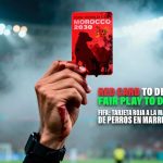 حزب إسباني يطلق حملة ضد “قتل الكلاب الضالة” في المغرب حزب إسباني يطلق حملة ضد “قتل الكلاب الضالة” في المغرب