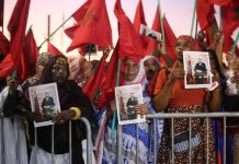 المغاربة يحتفلون بقرار الأمم المتحدة حول الصحراء المغاربة يحتفلون بقرار الأمم المتحدة حول الصحراء