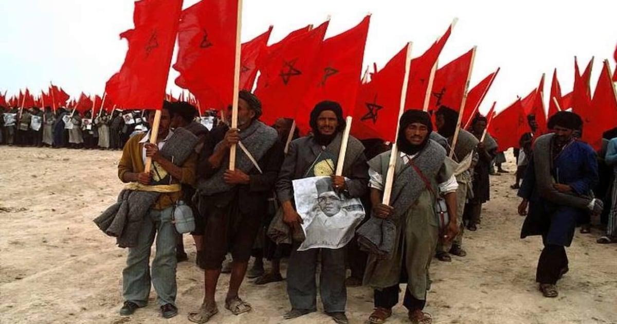 ندوة دولية حول هندسة التنمية وقيم المسيرة الخضراء ندوة دولية حول هندسة التنمية وقيم المسيرة الخضراء