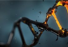 “روبرت بيكويل”.. مزارع إنجليزي غير متخصص أسس علما وراثيا "روبرت بيكويل".. مزارع إنجليزي غير متخصص أسس علما وراثيا