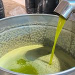 عصر الزيتون بمولاي يعقوب: وفرة وجودة تخفض الأسعار عصر الزيتون بمولاي يعقوب: وفرة وجودة تخفض الأسعار