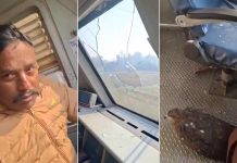 نسر يخترق زجاج قطار في كشمير ويصيب قائده بجروح طفيفة نسر يخترق زجاج قطار في كشمير ويصيب قائده بجروح طفيفة