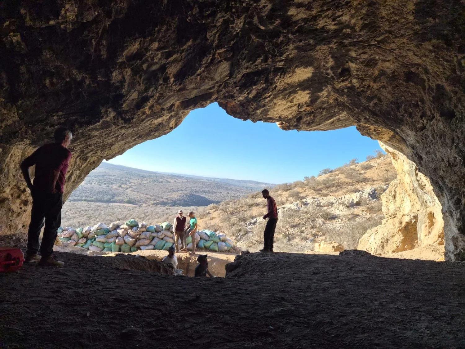 اكتشاف أدوات وحيوانات منقرضة بكهف بيزمون بالصويرة اكتشاف أدوات وحيوانات منقرضة بكهف بيزمون بالصويرة