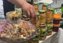 موسم فلاحي جيد بجهة الشرق ينعش إنتاج زيت الزيتون موسم فلاحي جيد بجهة الشرق ينعش إنتاج زيت الزيتون