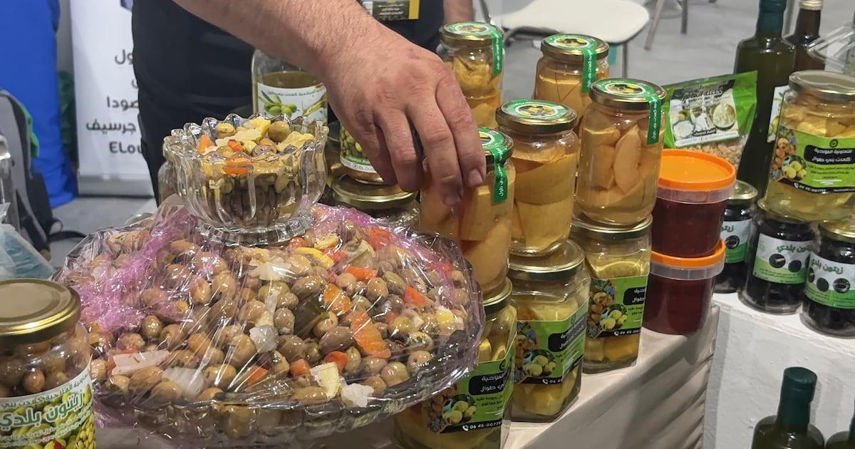 موسم فلاحي جيد بجهة الشرق ينعش إنتاج زيت الزيتون موسم فلاحي جيد بجهة الشرق ينعش إنتاج زيت الزيتون