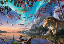 وحش قطبي منقرض: اكتشاف “وحيد قرن” عمره 23 مليون سنة وحش قطبي منقرض: اكتشاف "وحيد قرن" عمره 23 مليون سنة