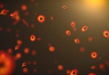 ماذا لو مر “ثقب أسود أوّلي” عبر جسدك؟ علماء الفيزياء يجيبون ماذا لو مر "ثقب أسود أوّلي" عبر جسدك؟ علماء الفيزياء يجيبون