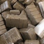 تفكيك شبكة تهريب المخدرات وحجز 16 طن من الشيرا تفكيك شبكة تهريب المخدرات وحجز 16 طن من الشيرا