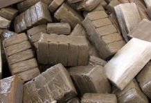 تفكيك شبكة تهريب المخدرات وحجز 16 طن من الشيرا تفكيك شبكة تهريب المخدرات وحجز 16 طن من الشيرا