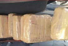 إحباط تهريب 12 كيلوغراما من الكوكايين في معبر باب سبتة إحباط تهريب 12 كيلوغراما من الكوكايين في معبر باب سبتة