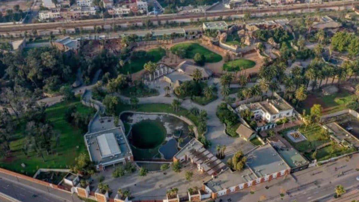 حديقة حيوانات عين السبع تفتح أبوابها 22 دجنبر حديقة حيوانات عين السبع تفتح أبوابها 22 دجنبر