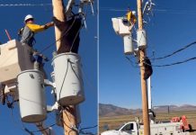 شاهد: دب يتسلّق عمود كهرباء.. وعامل ينقذه قبل لحظات من الصعق شاهد: دب يتسلّق عمود كهرباء.. وعامل ينقذه قبل لحظات من الصعق