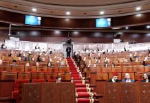 برلمانية تنتقد غياب وزراء عن الأسئلة الشفوية برلمانية تنتقد غياب وزراء عن الأسئلة الشفوية