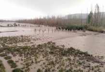 سيول بتنغير تجرف سيارة رباعية الدفع وتخلف أربعة قتلى سيول بتنغير تجرف سيارة رباعية الدفع وتخلف أربعة قتلى