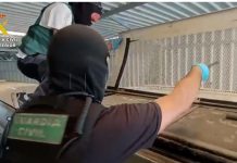 تفكيك شبكة لتهريب المخدرات من المغرب إلى بلجيكا عبر حافلات تفكيك شبكة لتهريب المخدرات من المغرب إلى بلجيكا عبر حافلات