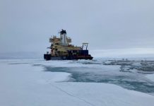 علماء يكتشفون “حياة غامضة” تحت جليد القطب الشمالي علماء يكتشفون "حياة غامضة" تحت جليد القطب الشمالي