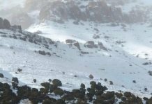 إنذارات بتساقطات ثلجية وأمطار قوية بالمغرب إنذارات بتساقطات ثلجية وأمطار قوية بالمغرب