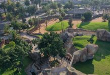 تأجيل افتتاح حديقة عين السبع لسوء الأحوال الجوية تأجيل افتتاح حديقة عين السبع لسوء الأحوال الجوية