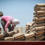 مبيعات الإسمنت والقروض العقارية تحقق نموًا قويًا مبيعات الإسمنت والقروض العقارية تحقق نموًا قويًا