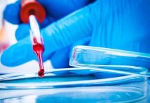 عام يرحل وآمال تتجدد.. إلام يطمح الباحثون العرب في 2026؟ عام يرحل وآمال تتجدد.. إلام يطمح الباحثون العرب في 2026؟