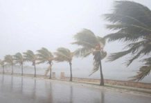 إنذارات: زخات رعدية وثلوج الأحد والاثنين إنذارات: زخات رعدية وثلوج الأحد والاثنين