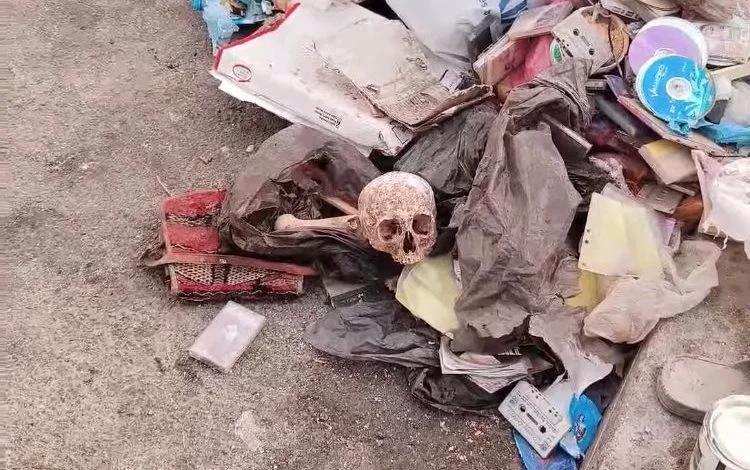 العثور على جمجمة بشرية داخل ميناء آسفي العثور على جمجمة بشرية داخل ميناء آسفي