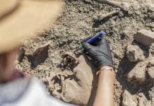 اكتشاف أثري في المغرب قد يعيد كتابة قصة تطور الإنسان اكتشاف أثري في المغرب قد يعيد كتابة قصة تطور الإنسان