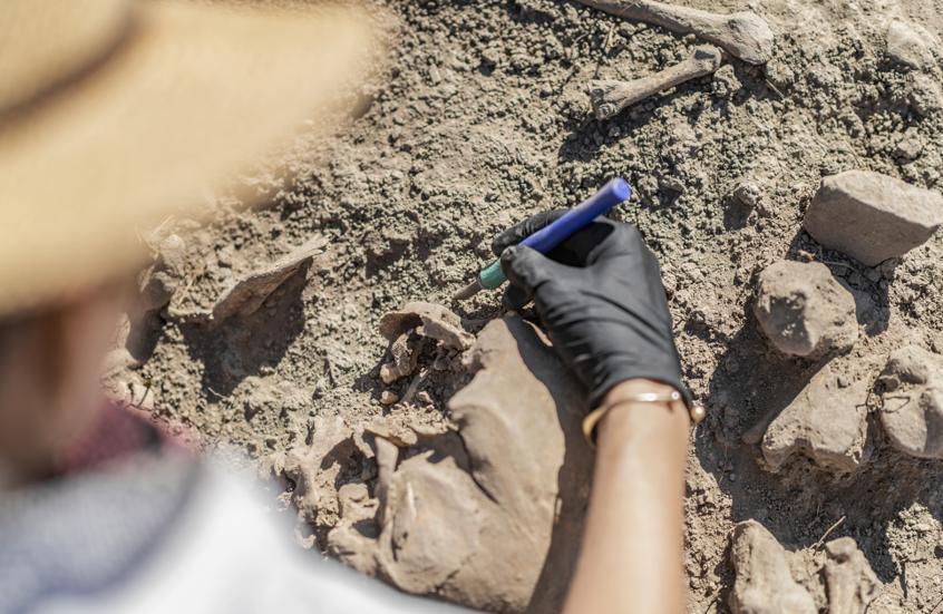 اكتشاف أثري في المغرب قد يعيد كتابة قصة تطور الإنسان اكتشاف أثري في المغرب قد يعيد كتابة قصة تطور الإنسان