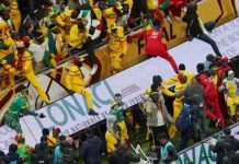 نهائي الكان: القضاء يقرر متابعة 18 سنغاليا وجزائري في حالة اعتقال نهائي الكان: القضاء يقرر متابعة 18 سنغاليا وجزائري في حالة اعتقال