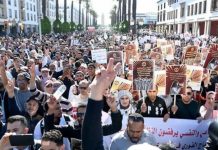 نقابات التعليم تعلن إضرابا عاما وتصعيدا احتجاجياً خلال شهر فبراير نقابات التعليم تعلن إضرابا عاما وتصعيدا احتجاجياً خلال شهر فبراير