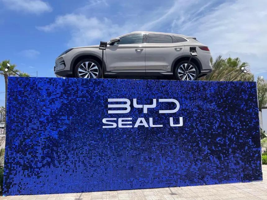 شركة صينية تسيطر على سوق السيارات الكهربائية في المغرب شركة صينية تسيطر على سوق السيارات الكهربائية في المغرب