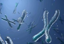 عامل جديد يكشف سر طول العمر عامل جديد يكشف سر طول العمر